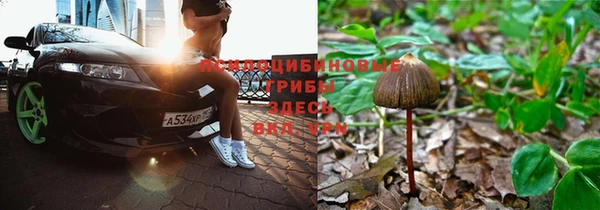 альфа пвп Беломорск