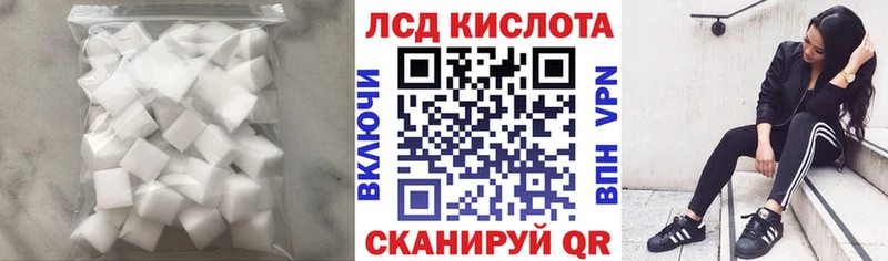 купить  сайты  Невель  LSD-25 экстази ecstasy 