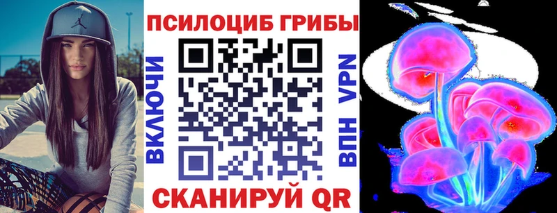сколько стоит  Невель  Псилоцибиновые грибы прущие грибы 