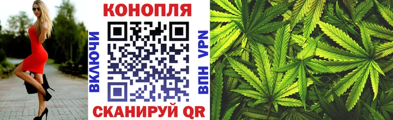 купить наркотики цена  Невель  Бошки Шишки White Widow 